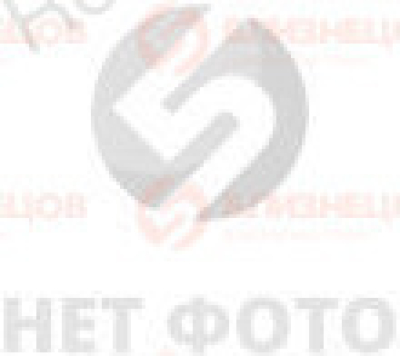 ЭЛЕКТРОННЫЙ МОДУЛЬ